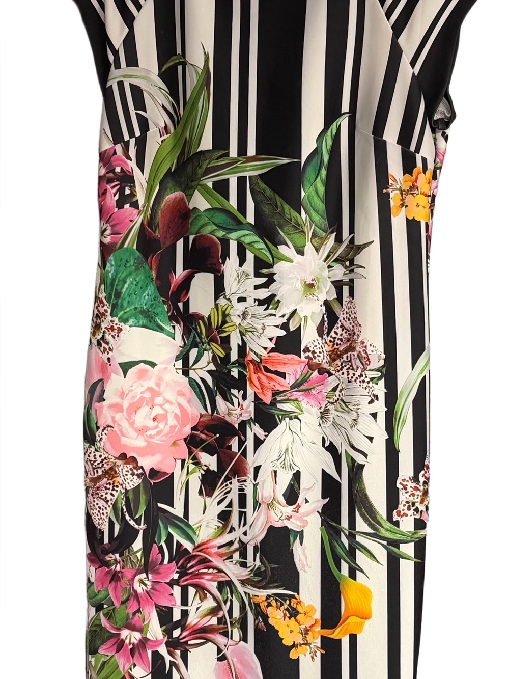 Floral Stripe Sleeveless Dress in Black & White with Multicolor Bloom